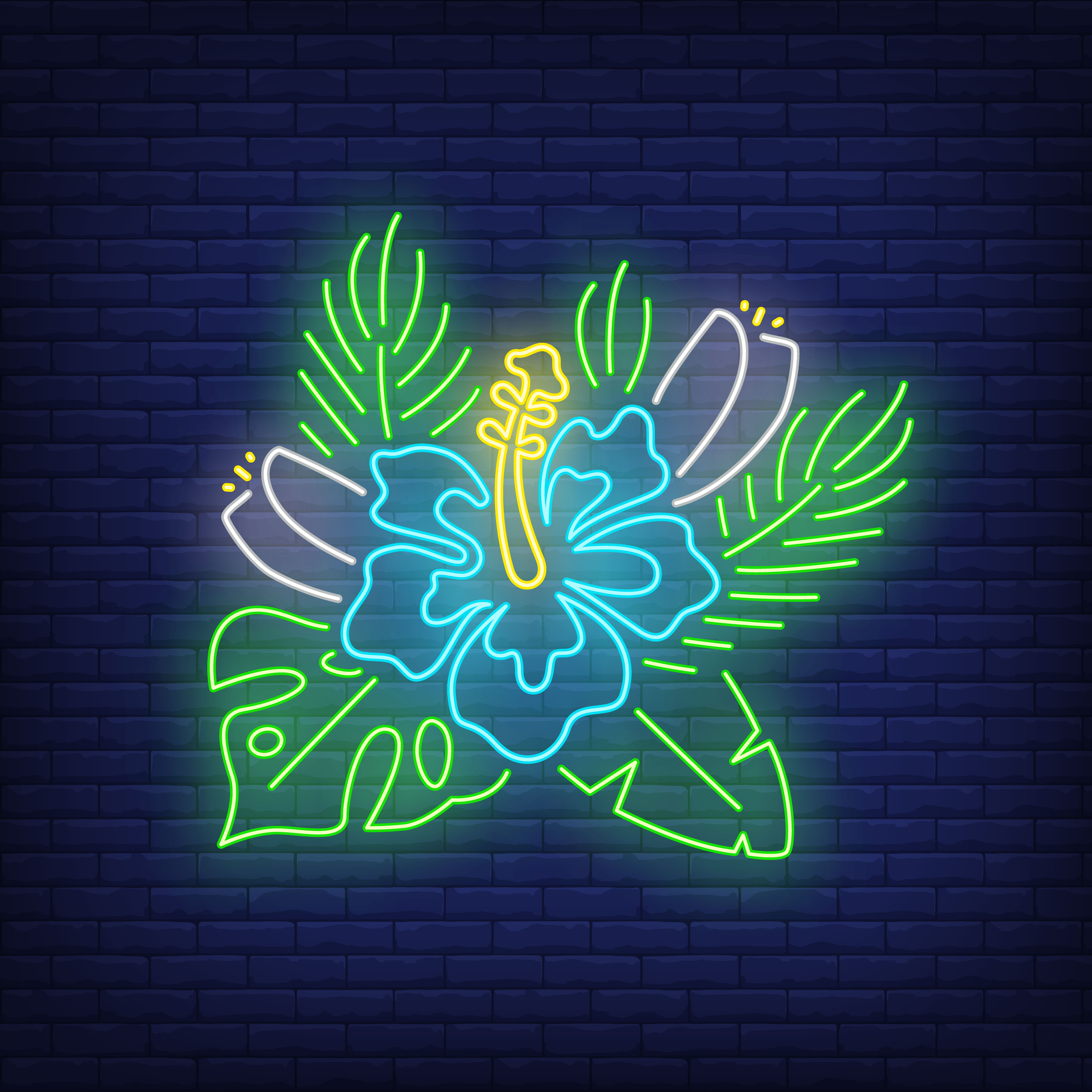 Hibiscus blue neon sign. tropical flower with leaves